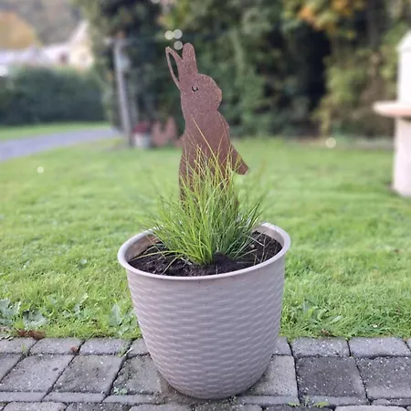 Label Semois Rural 3 Epis Holiday home Bouillon