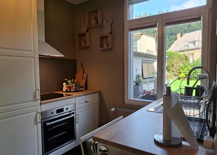 Label Semois Rural Bain Nordique Parking Prive בית נופש